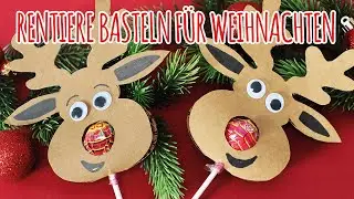 Rentier basteln aus Papier | Anleitung - Talu.de