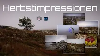 Herbstimpressionen - Landschaftsfotografie