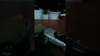 1_3 лицо