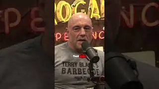 Jersey  Joey Diaz  and the Green Room Hang