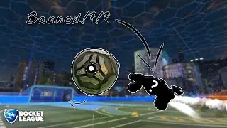 We Got this Guy BANNED for This...