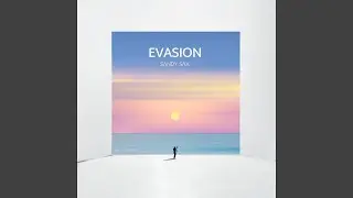 Evasion