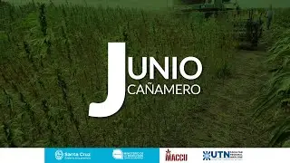 JUNIO CAÑAMERO
