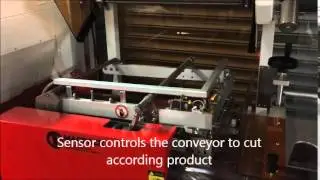 Fullly Automatic Shrink Wrapper