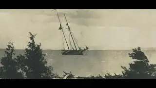 LIVE YANKEE dive video