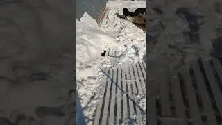 я не в дубае 😎 