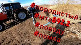 МТЗ 892.2 снова по воду. Бочка с газ 53 молоковоз, помпа форте, еле закачали воду.