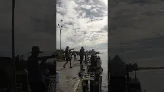 #fishingislife  #fishingvideo #houhora #trevally