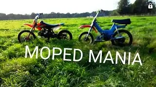 B2R- Moped Mania