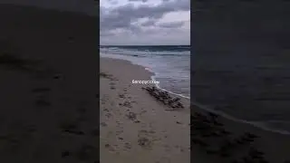 Мы Белорусы такие вот!