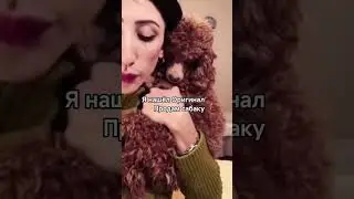 продам собаку gan 13