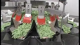 Ishida Multi-Head Weigher Batching Frozen Beans | ProPac.com