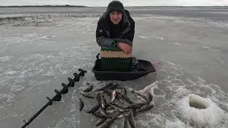 ЗАГУБЬЕ. Лен.обл. 24 03 24 ЗАКРЫЛ ЗИМНИЙ СЕЗОН