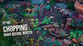 #180 Preparing for winter