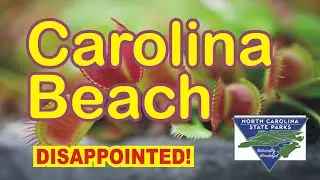 Carolina Beach State Park - Disappointed