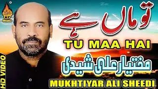 Wadi Mitiyan Ty Pai Samdi Han | Sada e sakina | Mukhtiar Ali Sheedi |  New Noha 1442 | 2021 22360p
