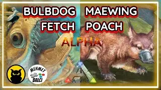 BULBDOG FETCH / MAEWING POACH / 2 GÖREV BİRDEN #genesispart2 #arksurvivalevolved #mission