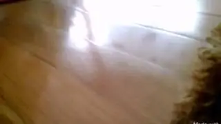 Тузик на проказничел