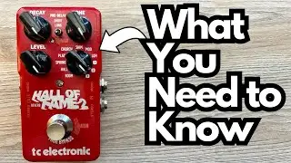 The TCE Hall of Fame Reverb 2 - The Most Useful Reverb Pedal?