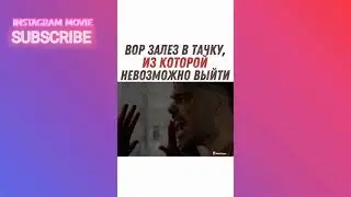 ВОР ЗАЛЕЗ В ТАЧКУ, ИЗ КОТОРОЙ НЕВОЗМОЖНО ВЫЙТИ