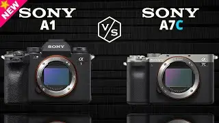 SONY Alpha A1 vs SONY Alpha A7C
