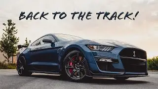 Trying To Get My 2021 Mustang GT500 To Hook At The Drag Strip