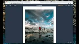 4. Inserting PDF Viewer in your WordPress posts/pages