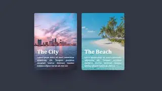 Split Card Hover Effects Using HTML and CSS | 3D Card Hover Effects CSS |  Card Hover Effects CSS