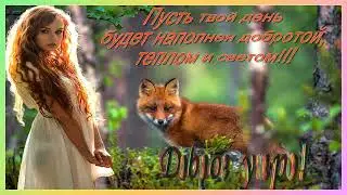 Теплое пожелание доброго утра!!!