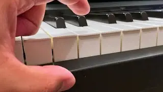 Roland FP-30X 88-Key Digital Piano | Demo And Review