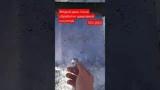 Зимняя обработка пчёл от варроатоза