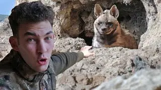JOURNEY TO THE STRIPED HYENA CAVE! FINALLY I SUCCEEDED, STRIPED HYENA IN TURKEY!!!