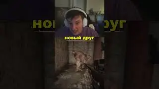 новый друг в Сталкер 2 