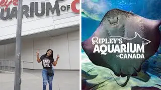 Ripley’s Aquarium Vlog 2023 | Toronto Canada