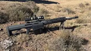 .50 BMG vs Termite Mound!!