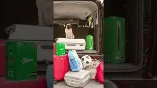 Summer vibes
