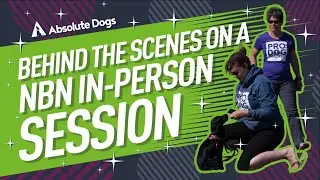 Naughty But Nice Dog Owners You Aren't Alone - Behind the Scenes
