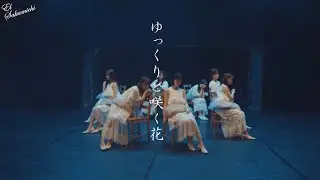 Nogizaka46 - Yukkuri to Saku Hana (subs en español)