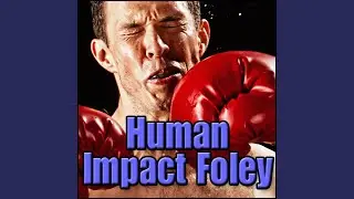Horror - Axe Chop into Body, Four Times, Human Impact Foley, Chop, Stab & Slice Foley, Axes &...
