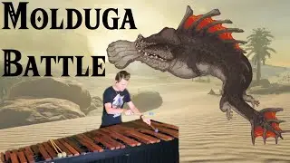 Molduga Battle - The Legend of Zelda: Breath of the Wild for Marimba and others!