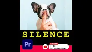 SILENCE AUDIO | ADOBE PREMIERE PRO | #shorts