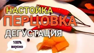 ✅НАСТОЙКА ПЕРЦОВКА | ДЕГУСТАЦИЯ🌶🌶🌶