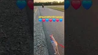 за#городом#❤️