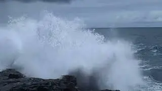 Mackenzie State recreation area Big Island Hawaii