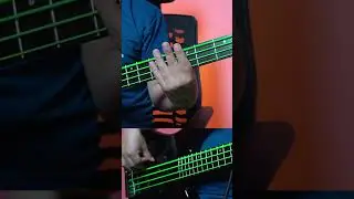 Samaj Short Bass 2 