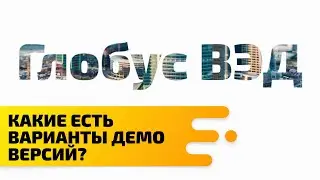 Какие есть варианты Демо версий в системе Глобус ВЭД?