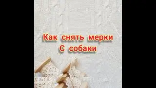 Как снять мерки с собаки/Снимаем мерки с собаки для вязаного изделия.