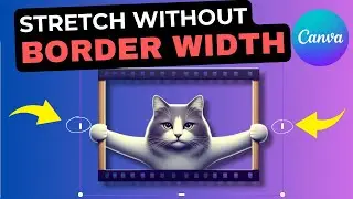 Canva Borders WITHOUT width option? Here's how to stretch EASILY!