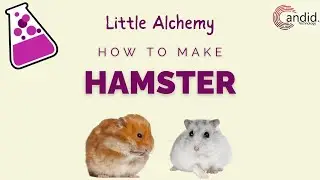 How to make Hamster in Little Alchemy? | Candid.Technology