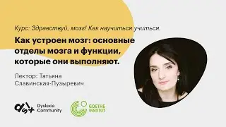 Как устроен мозг: основные отделы мозга и функции, которые они выполняют.